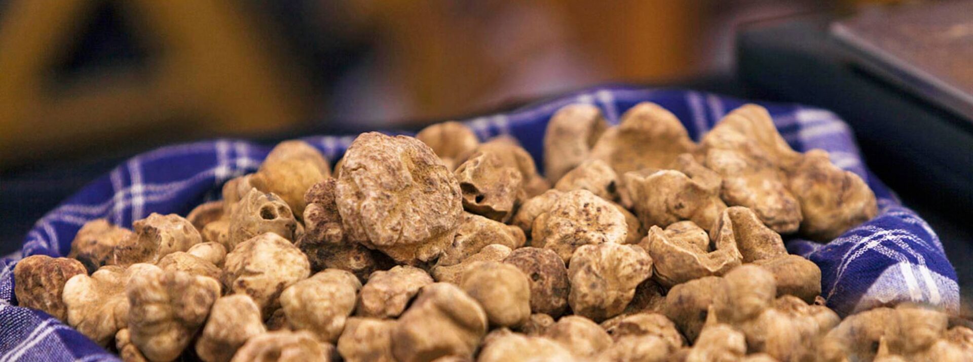 coccia-white-truffles